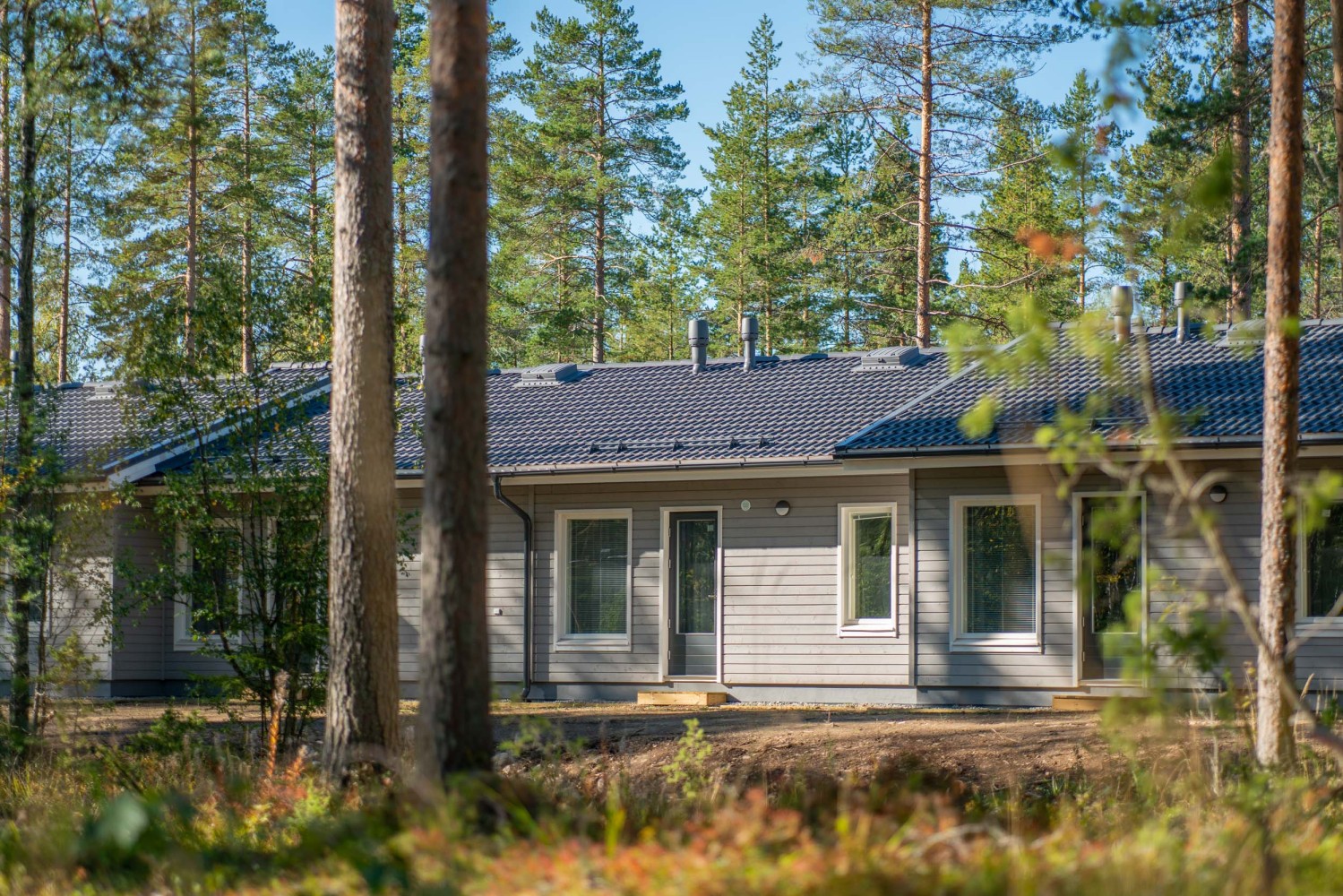 Saimaa LIGHT