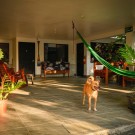 Hotel Swell Pavones