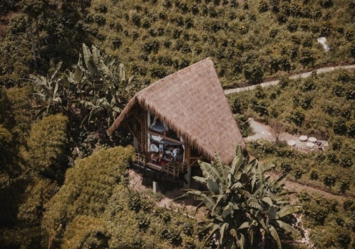 Attraversiamo Bamboo House