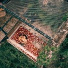 Attraversiamo Bamboo House
