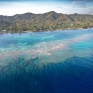 Snorkeling in Roatan at Puerta Azul Boutique Hotel