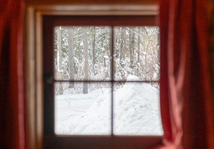 Explorer Cabin fireplace